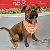 Thumbnail photo of Coco #1