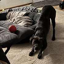 Thumbnail photo of Johnny Cash #2