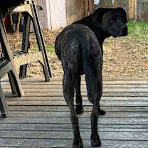 Thumbnail photo of Johnny Cash #3