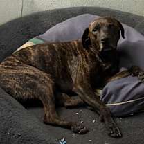 Thumbnail photo of Johnny Cash #4