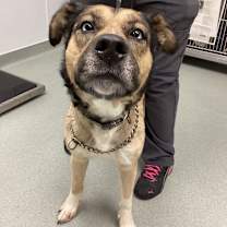 Thumbnail photo of Mable #2