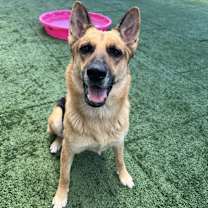 Thumbnail photo of JULY #2