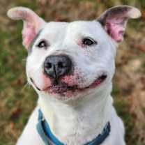 Thumbnail photo of April #1