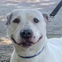 Thumbnail photo of April #4