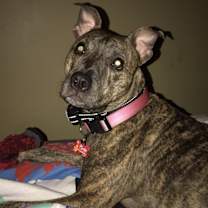 Thumbnail photo of Moon #4