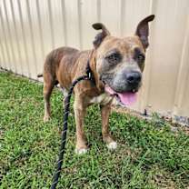 Thumbnail photo of Mozie #4