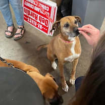 Thumbnail photo of Missy #4