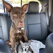 Thumbnail photo of Bear #3