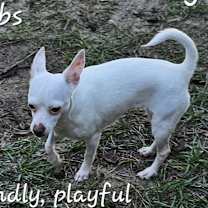 Thumbnail photo of Crystal #1