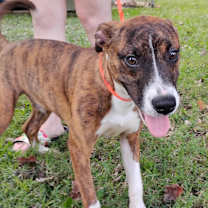 Thumbnail photo of Tobias Grant #3