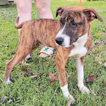 Thumbnail photo of Tobias Grant #4