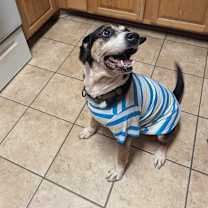 Thumbnail photo of Gunner #4