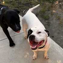 Thumbnail photo of Ethel #1