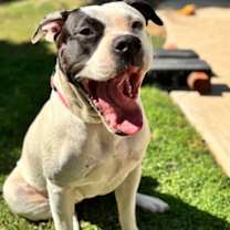 Thumbnail photo of Ethel #3