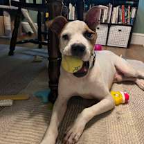 Thumbnail photo of Jace #1