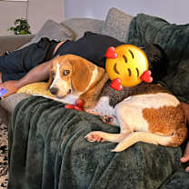 Thumbnail photo of Benny #4