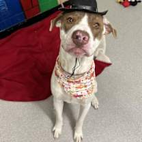 Thumbnail photo of EVERGREEN #1