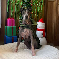 Thumbnail photo of Dakota #1