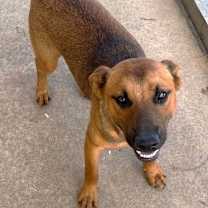 Thumbnail photo of Bear #2