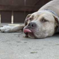 Thumbnail photo of Monte #4