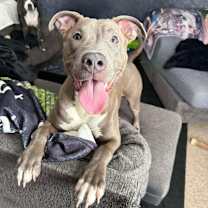 Thumbnail photo of Stormy #1