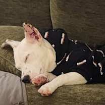 Thumbnail photo of Laura $450 #4