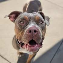 Thumbnail photo of Lucy #1