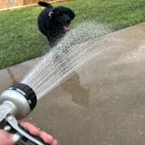 Thumbnail photo of Andy #2