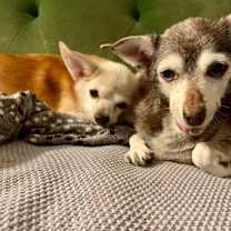 Thumbnail photo of Larry #2