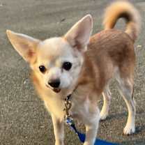 Thumbnail photo of Larry #3