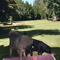 Thumbnail photo of Tennessee #4