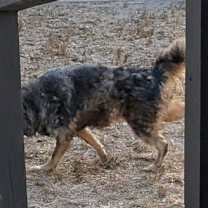 Thumbnail photo of Tennessee #1