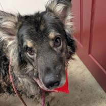 Thumbnail photo of Tennessee #2