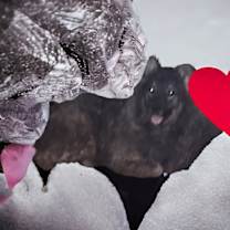 Thumbnail photo of Tennessee #3