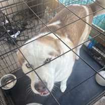 Thumbnail photo of Luna #1