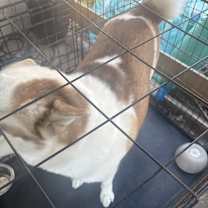 Thumbnail photo of Luna #3