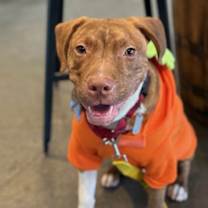 Thumbnail photo of Patch #4