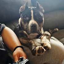 Thumbnail photo of Annabella #1