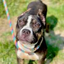 Thumbnail photo of Annabella #2