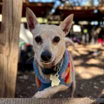 Thumbnail photo of Wycker #2