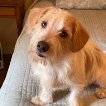 Thumbnail photo of Fred Murphy #2