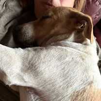 Thumbnail photo of Malcom #2