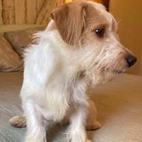 Thumbnail photo of Fred Murphy #3