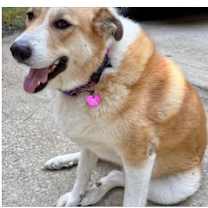 Thumbnail photo of Athena - CP #1