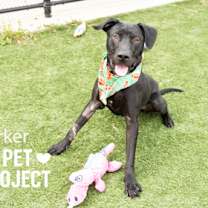 Thumbnail photo of Parker #2