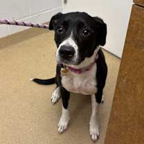 Thumbnail photo of Sydney #2