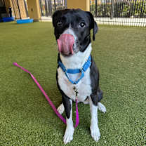 Thumbnail photo of Sydney #3