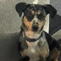 Thumbnail photo of Maxi #4