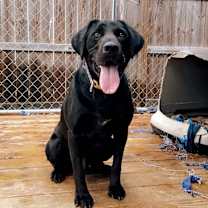 Thumbnail photo of axel #3