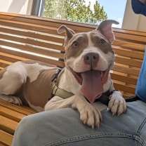 Thumbnail photo of WishBone #4